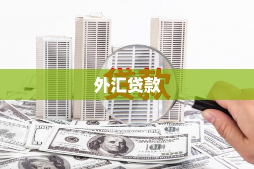 南屯外汇贷款