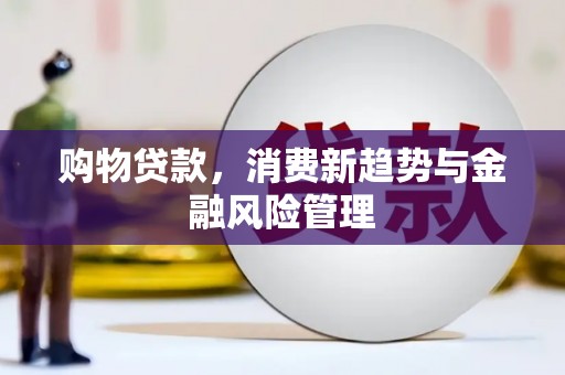 南屯购物贷款，消费新趋势与金融风险管理