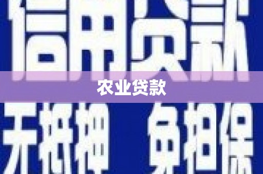 南屯农业贷款