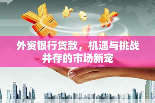 南屯外资银行贷款，机遇与挑战并存的市场新宠
