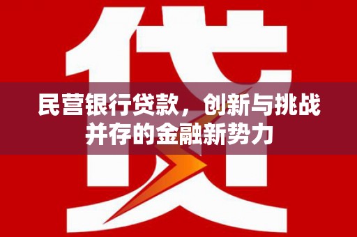 南屯民营银行贷款，创新与挑战并存的金融新势力