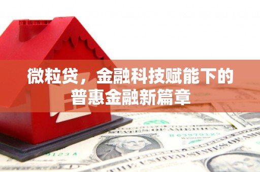 南屯微粒贷，金融科技赋能下的普惠金融新篇章
