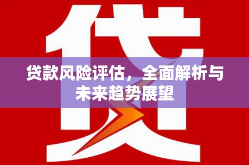 南屯贷款风险评估，全面解析与未来趋势展望