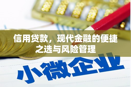 南屯信用贷款，现代金融的便捷之选与风险管理