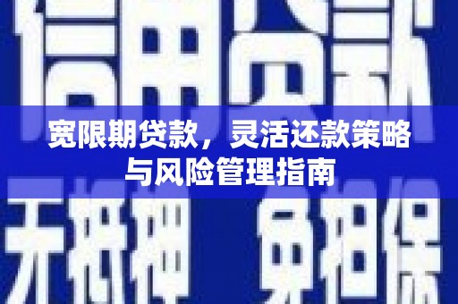 南屯宽限期贷款，灵活还款策略与风险管理指南