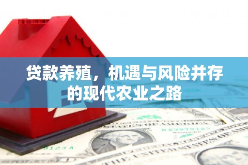 南屯贷款养殖，机遇与风险并存的现代农业之路