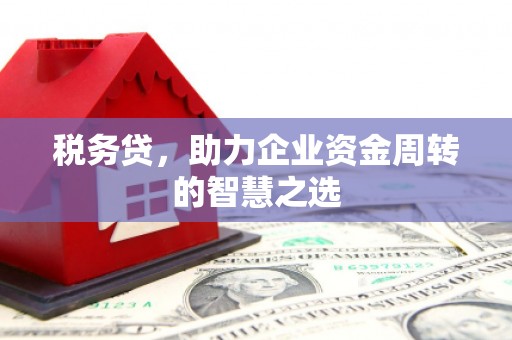 南屯税务贷，助力企业资金周转的智慧之选