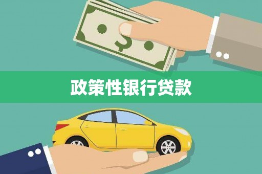 南屯政策性银行贷款