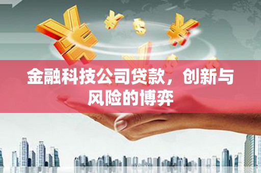 南屯金融科技公司贷款，创新与风险的博弈