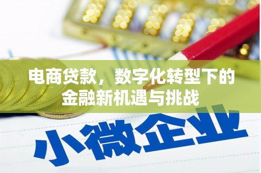 南屯电商贷款，数字化转型下的金融新机遇与挑战