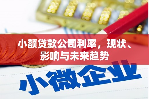 南屯小额贷款公司利率，现状、影响与未来趋势