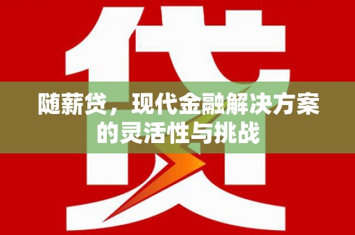南屯随薪贷，现代金融解决方案的灵活性与挑战