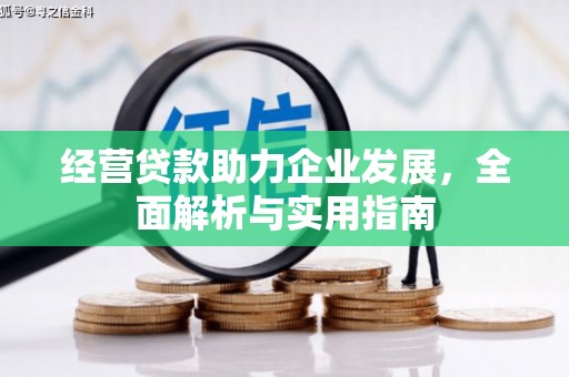 南屯经营贷款助力企业发展，全面解析与实用指南