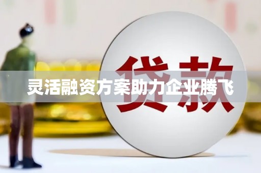南屯灵活融资方案助力企业腾飞