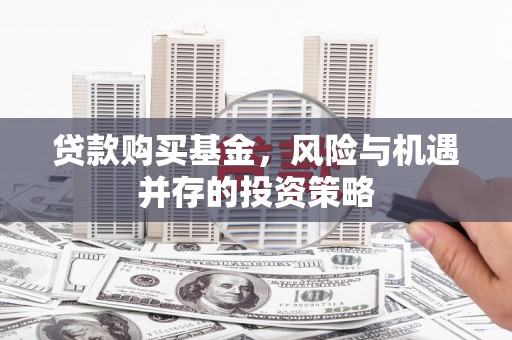 南屯贷款购买基金，风险与机遇并存的投资策略