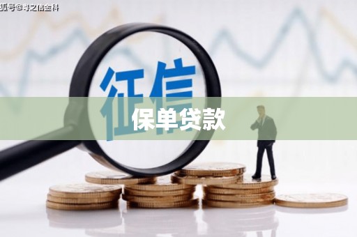 南屯保单贷款