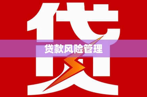 南屯贷款风险管理