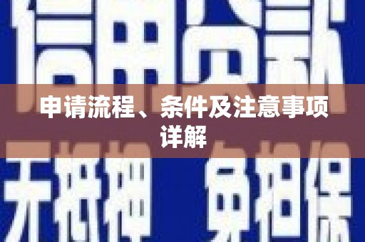 南屯申请流程、条件及注意事项详解