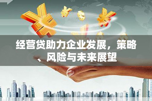 南屯经营贷助力企业发展，策略、风险与未来展望