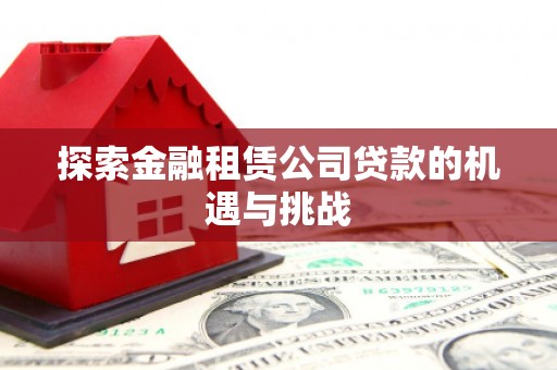 南屯探索金融租赁公司贷款的机遇与挑战