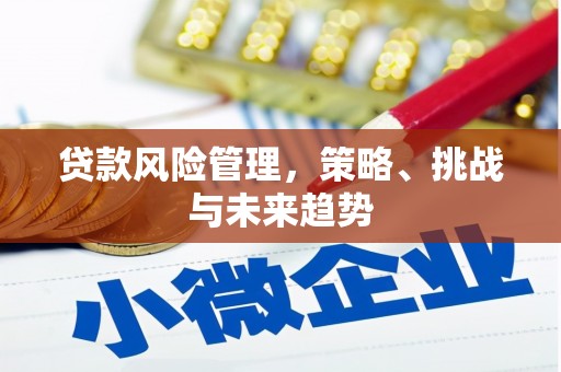 南屯贷款风险管理，策略、挑战与未来趋势