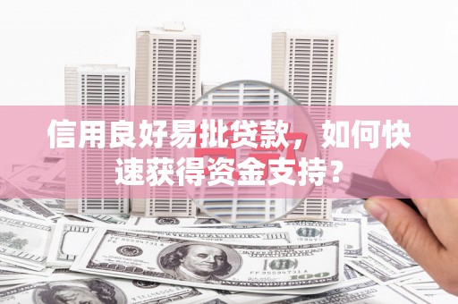 南屯信用良好易批贷款，如何快速获得资金支持？