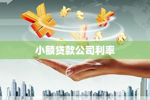 南屯小额贷款公司利率