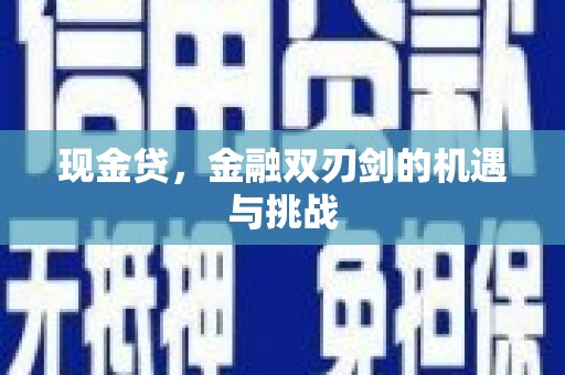南屯现金贷，金融双刃剑的机遇与挑战