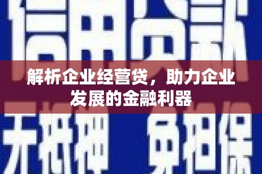 南屯解析企业经营贷，助力企业发展的金融利器
