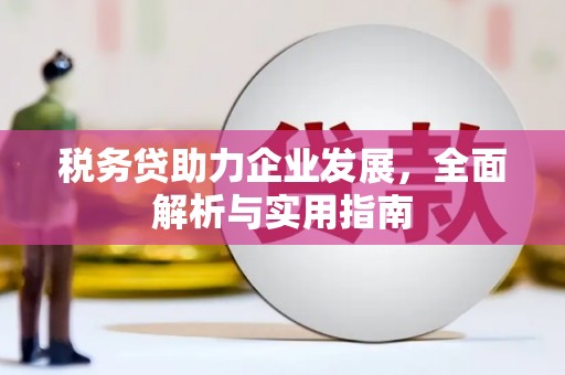 南屯税务贷助力企业发展，全面解析与实用指南