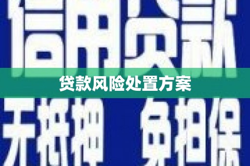 南屯贷款风险处置方案