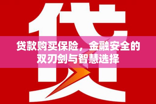 南屯贷款购买保险，金融安全的双刃剑与智慧选择
