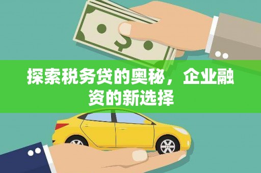 南屯探索税务贷的奥秘，企业融资的新选择