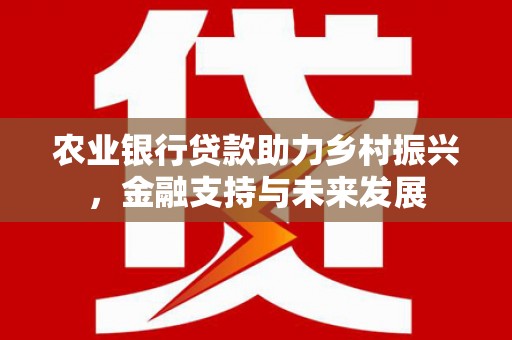 南屯农业银行贷款助力乡村振兴，金融支持与未来发展