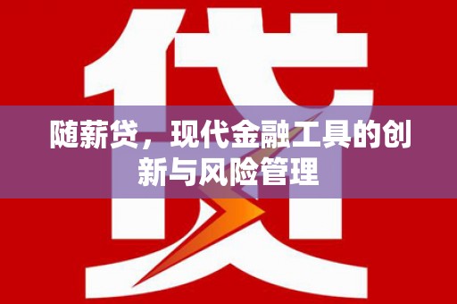 南屯随薪贷，现代金融工具的创新与风险管理