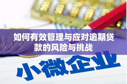 南屯如何有效管理与应对逾期贷款的风险与挑战