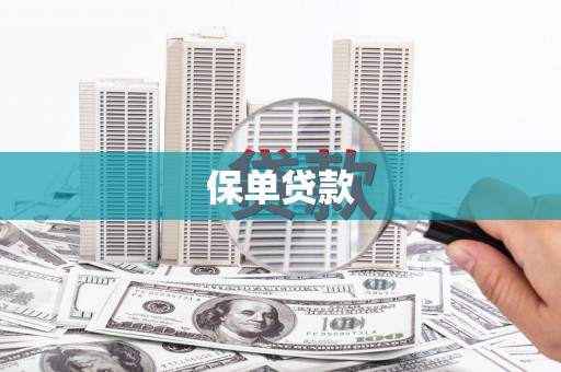 南屯保单贷款