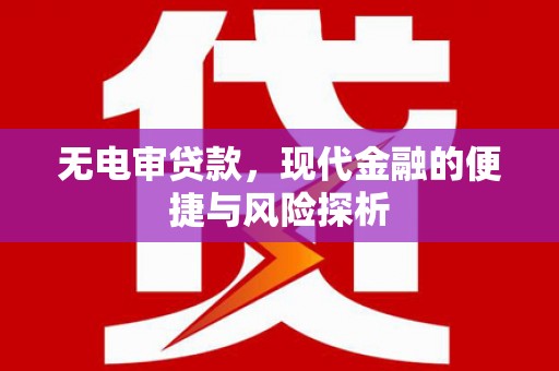 南屯无电审贷款，现代金融的便捷与风险探析