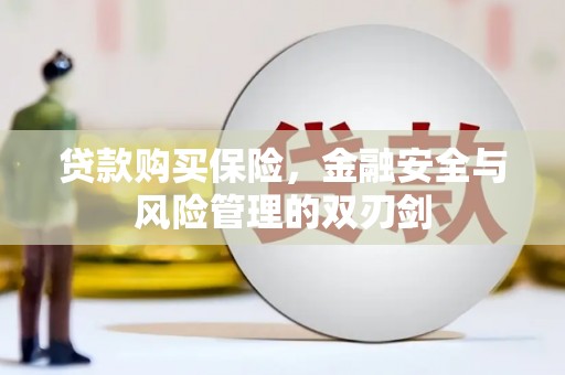 南屯贷款购买保险，金融安全与风险管理的双刃剑
