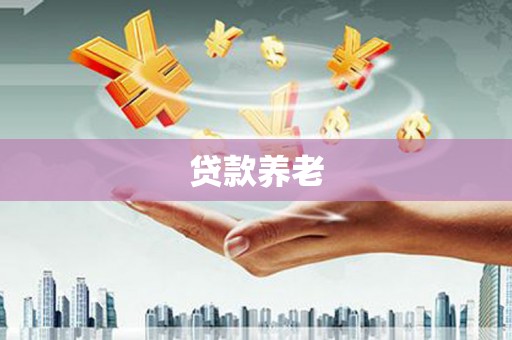 南屯贷款养老