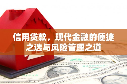 南屯信用贷款，现代金融的便捷之选与风险管理之道