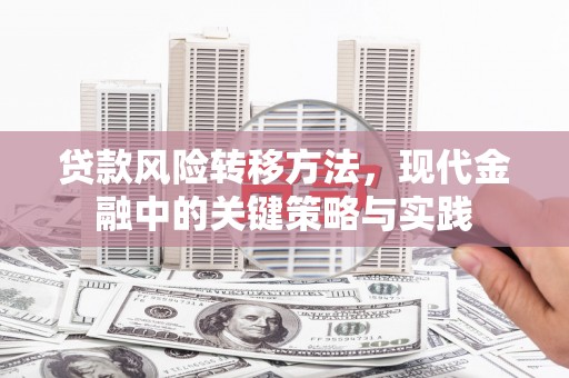 南屯贷款风险转移方法，现代金融中的关键策略与实践