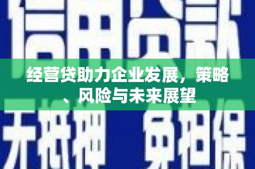 南屯经营贷助力企业发展，策略、风险与未来展望