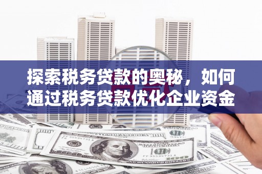 南屯探索税务贷款的奥秘，如何通过税务贷款优化企业资金流