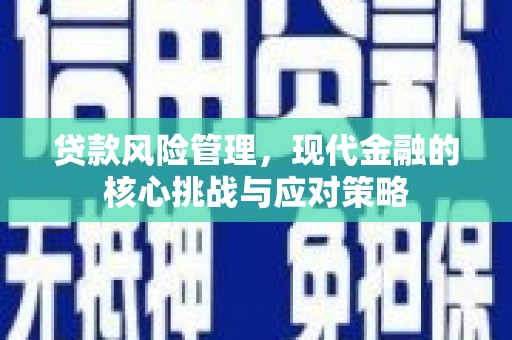 南屯贷款风险管理，现代金融的核心挑战与应对策略