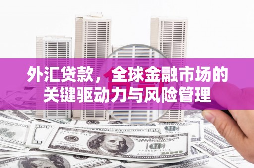 南屯外汇贷款，全球金融市场的关键驱动力与风险管理