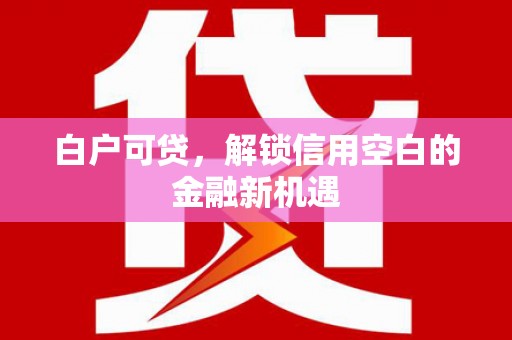 南屯白户可贷，解锁信用空白的金融新机遇