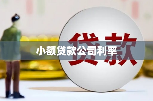 南屯小额贷款公司利率