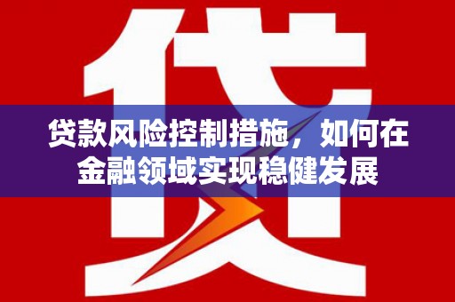 南屯贷款风险控制措施，如何在金融领域实现稳健发展