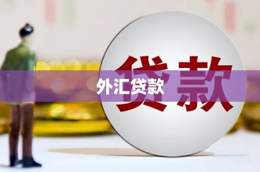 南屯外汇贷款